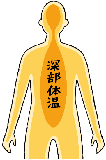 深部体温
